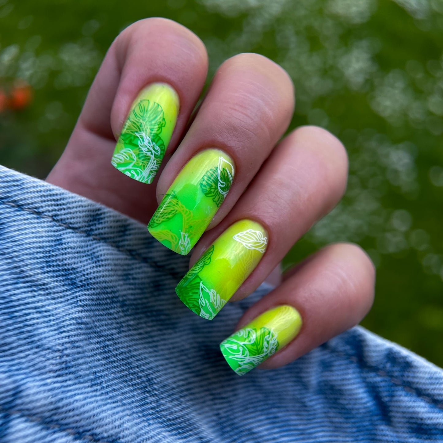 Corso DualForm Magic 5.0